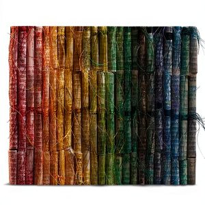 Talmud Study Guide by Princeton University Press-0