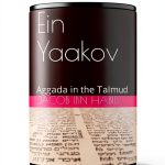 Talmud Study Guide for Kindle - English Edition-0