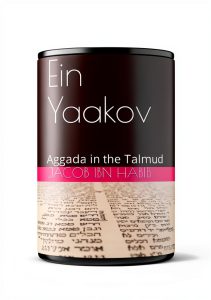 Talmud Study Guide for Kindle - English Edition-0