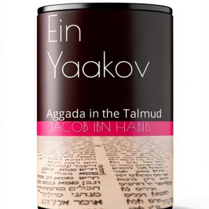Talmud Study Guide for Kindle - English Edition-0