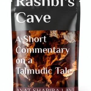 Talmud Now eBook - Journey into Talmudic Stories Kindle Edition-0