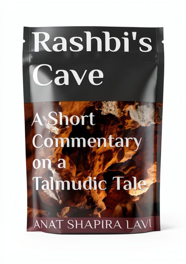 Talmud Now eBook - Journey into Talmudic Stories Kindle Edition-0