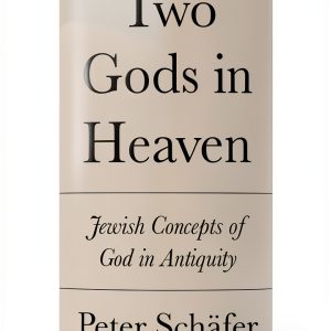 Talmud Study Guide by Princeton University Press Kindle Edition-0