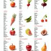 Seasonal Fruit and Vegetable Metal Signs 12x17 Wall Decor Chart-0